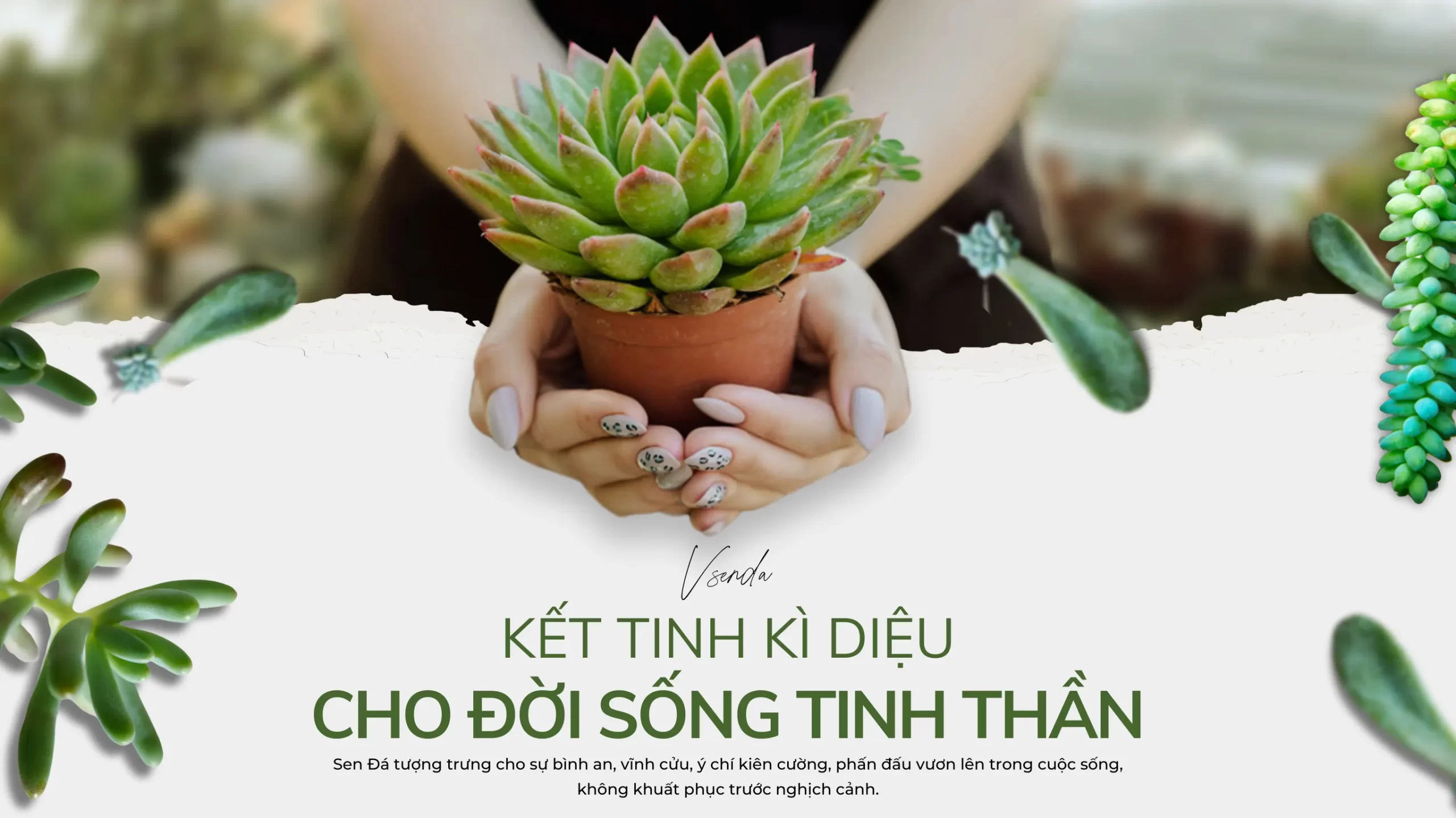 Them-tieu-de-55