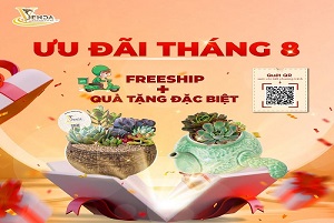 chuong-trinh-uu-dai-thang-8-cuc-chat-t1