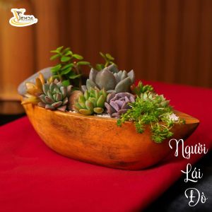 Thuyền Tiểu Cảnh Sen Đá