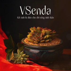 Chậu Sen Đá Thạch Thảo