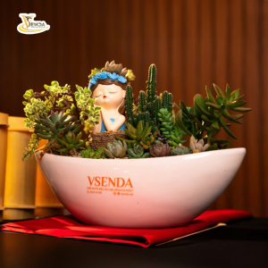 Tiểu Cảnh Sen Đá Bình Yên