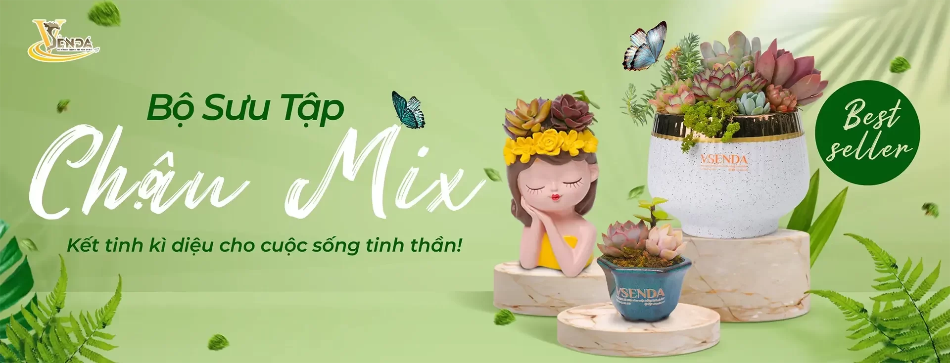 Banner-Chau-mix1